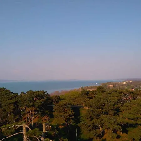 Holiday Balatonboglar/balaton 18278